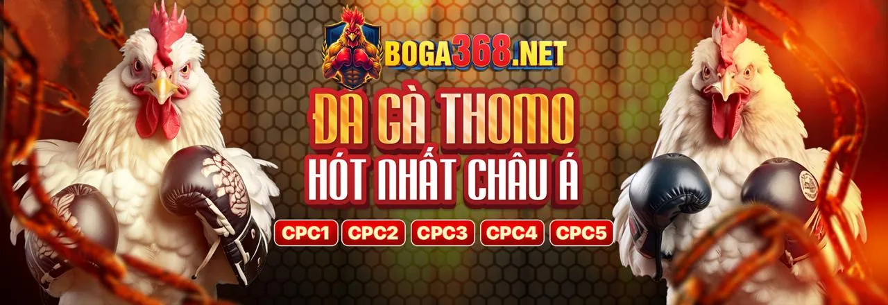 Hình ảnh chính hướng dẫn chiến lược cá cược trực tuyến tại cq988 nhà cái